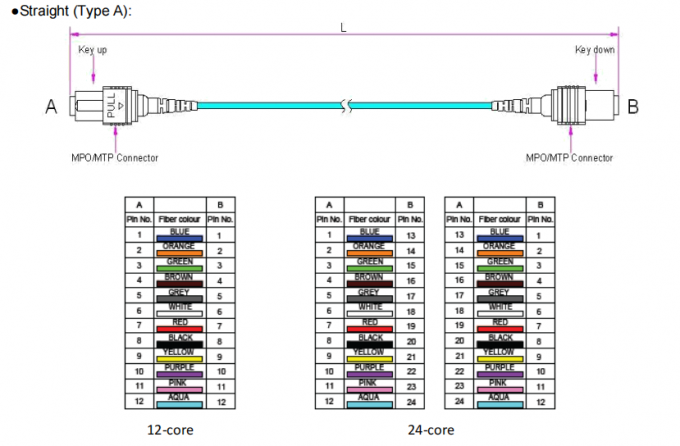 12F MPO to FC Breakout Cable for 40G/100G/400G