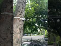 FTTH Optical Fiber Suspension Dead End Cable Anchor Clamp For ADSS Cable 8-12mm