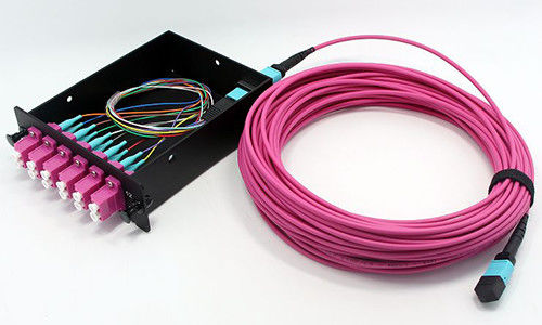 Buy Fiber Optic MPO MTP Cable 8 Fiber OM4 LSZH Jacket for Network Connections Data Center online manufacture