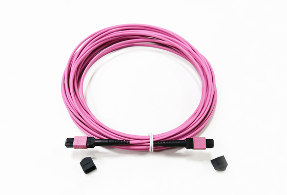 12 Fiber MPO Female Connector Patch Cord OM4  50/125um Elite Loss 0.35dB Purple Polarity A