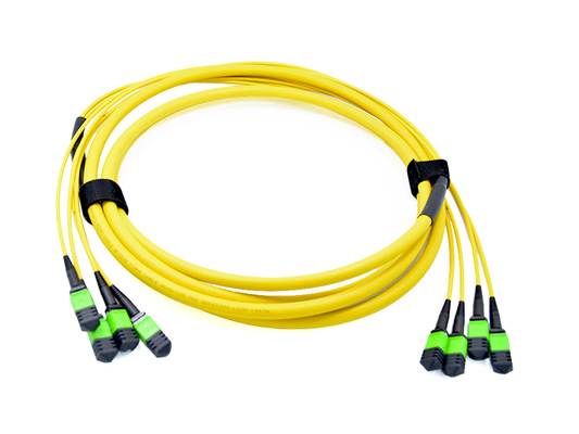 Buy USCONEC 48 Fibers Optical MTP Female Truck Cable Assembly Patch Cord for Data Center online manufacture