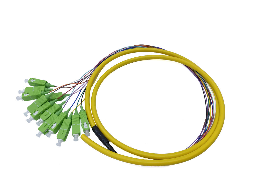 12 Cores FTTH Fiber Optic Pigtail SC APC G652D PVC 900um 1.5Mts Yellow
