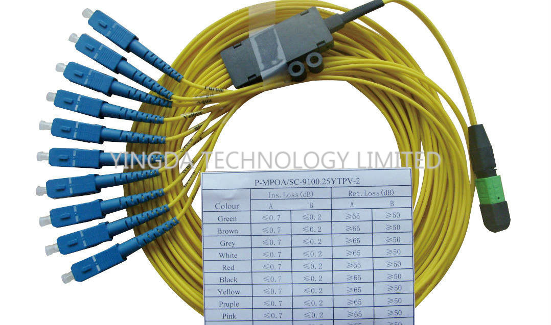 High - density LC SC ST MT-RJ MTP MPO Cable TIA-604-5 / MTP Patch Cord