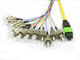 MTP MPO Trunk Cable