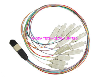 SC Hydra 12 Strand Fiber Cable Assembly / MTP MPO Patch Cord For FTTX